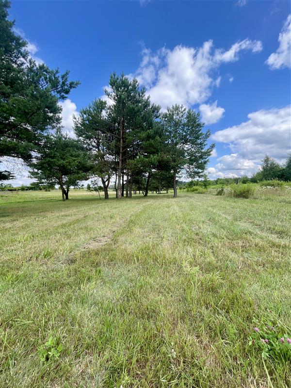 340 0 12267305 9 77 - Lista ofert