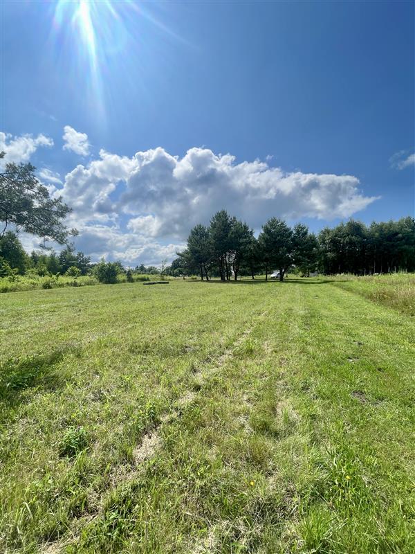 340 0 12267306 2 75 - Lista ofert