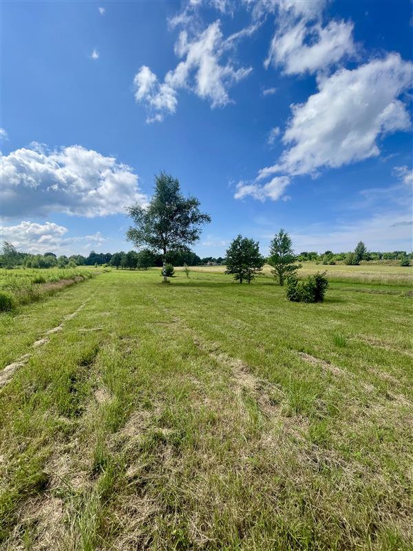 340 0 12267307 13 76 - Lista ofert