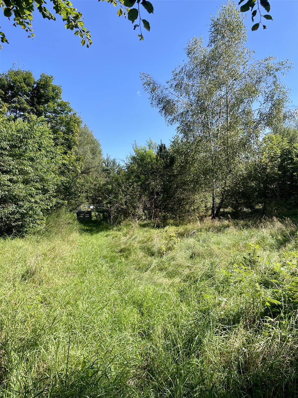 340 0 12295124 4 45 - Lista ofert