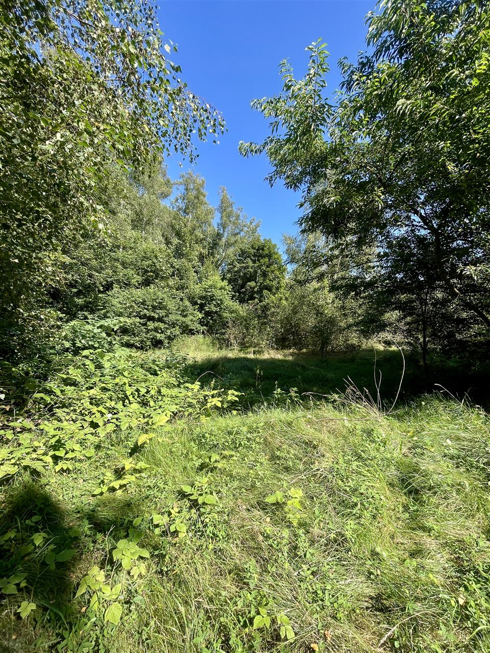 340 0 12295125 9 45 - Lista ofert