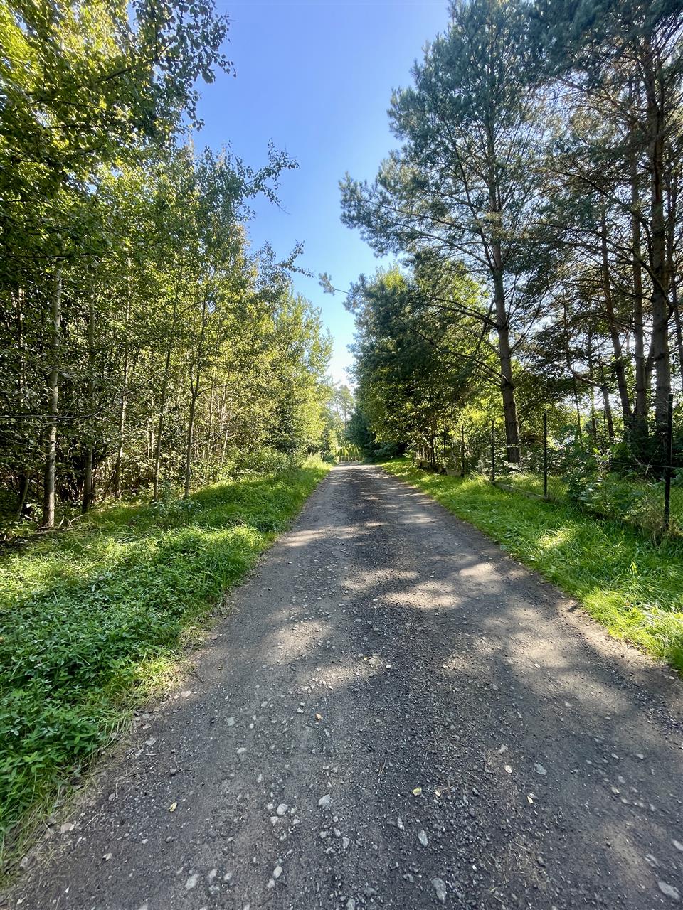 340 0 12295126 5 45 - Lista ofert