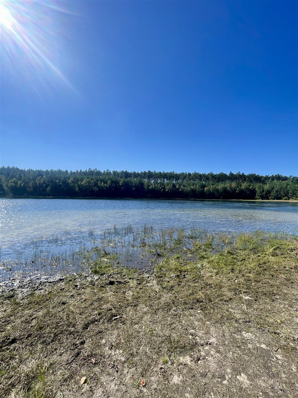 340 0 12295131 7 45 - Lista ofert