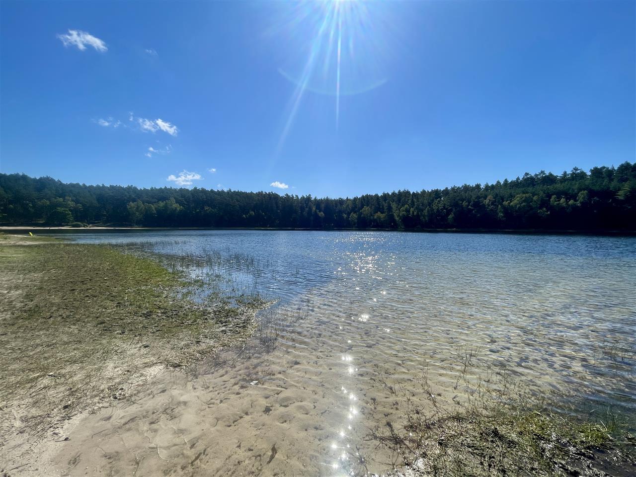 340 0 12295132 5 45 - Lista ofert