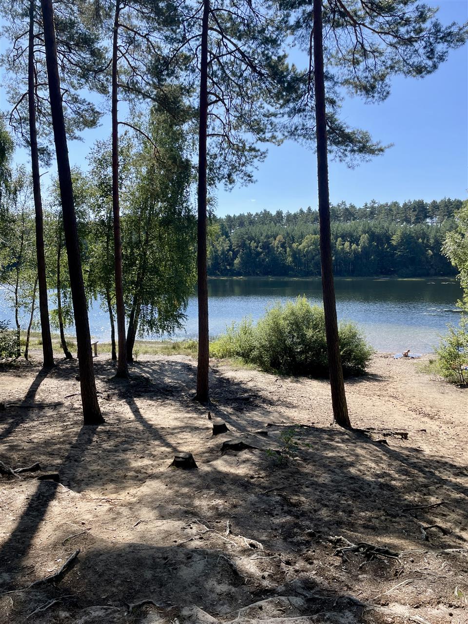 340 0 12295133 7 45 - Lista ofert