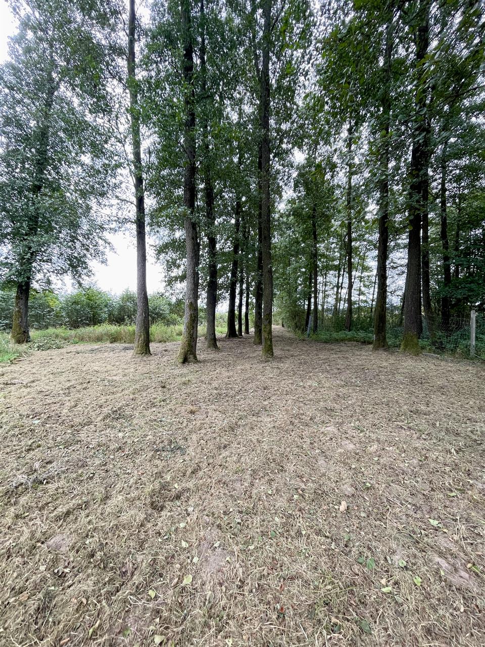 340 0 12317615 8 106 - Lista ofert