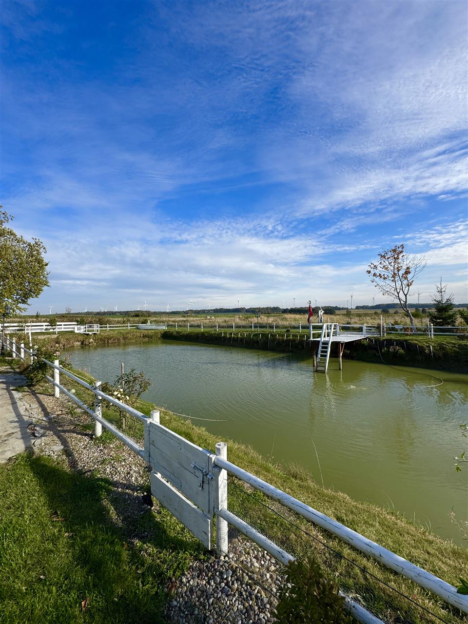 340 0 12330144 1 40 - Lista ofert