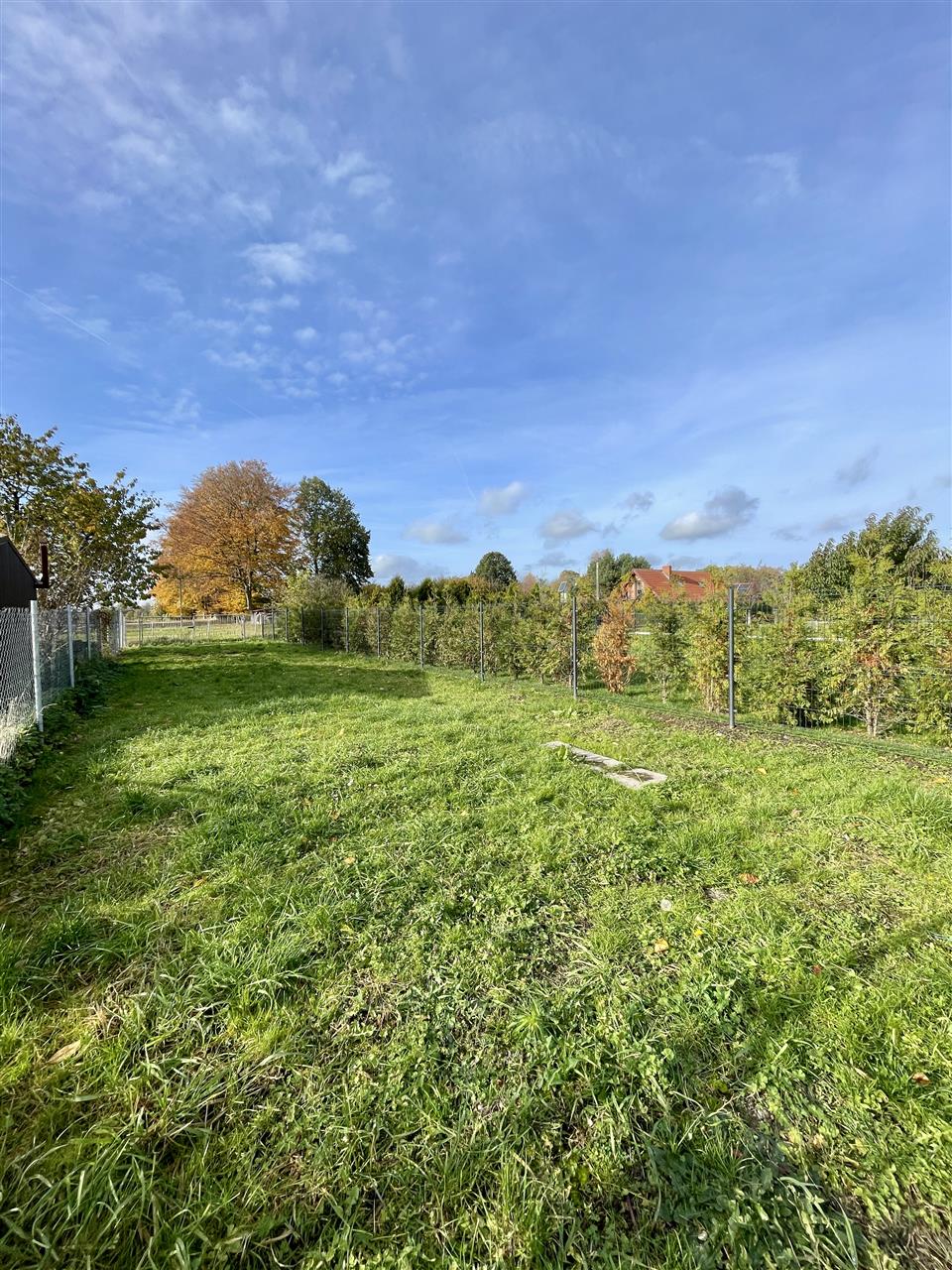 340 0 12335497 11 115 - Lista ofert