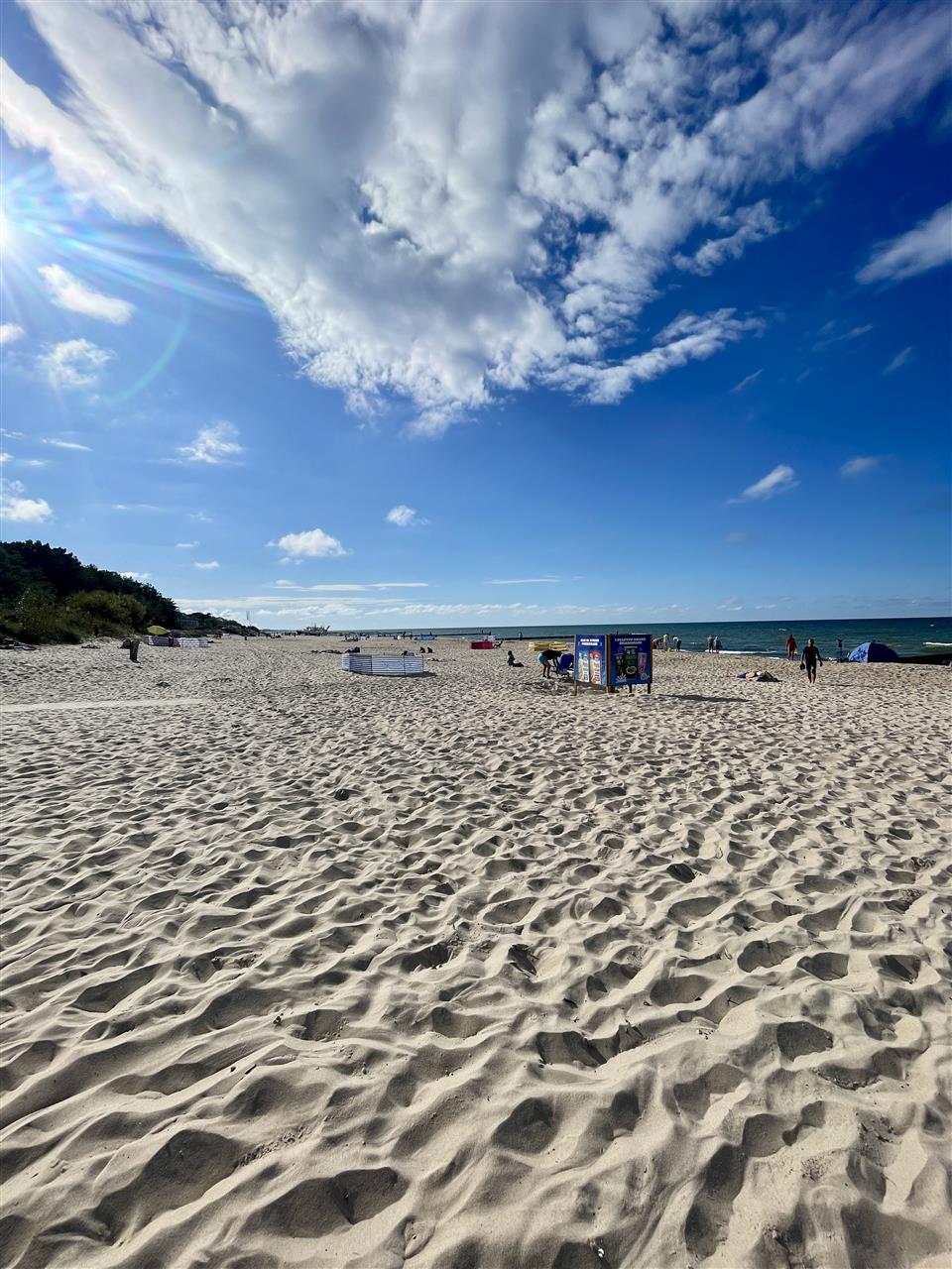 340 0 12355438 8 100 - Strona główna