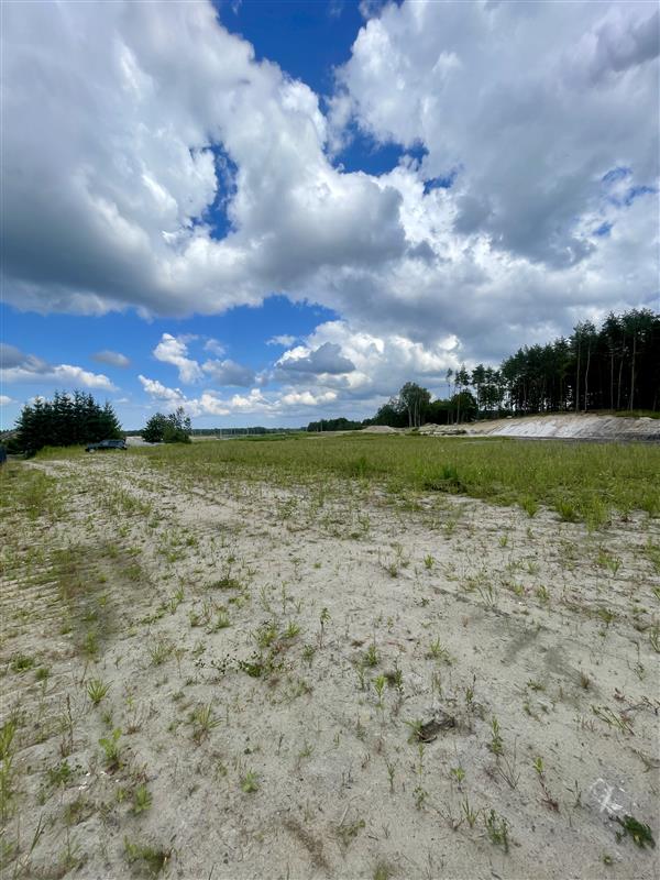 340 0 12362873 3 241 - Lista ofert