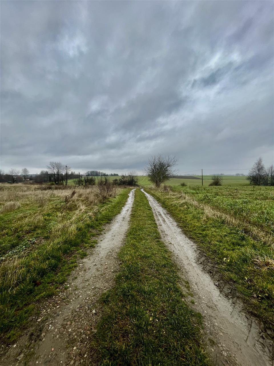 340 0 12363452 4 24 - Strona główna