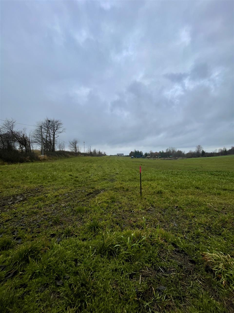 340 0 12363454 1 24 - Strona główna