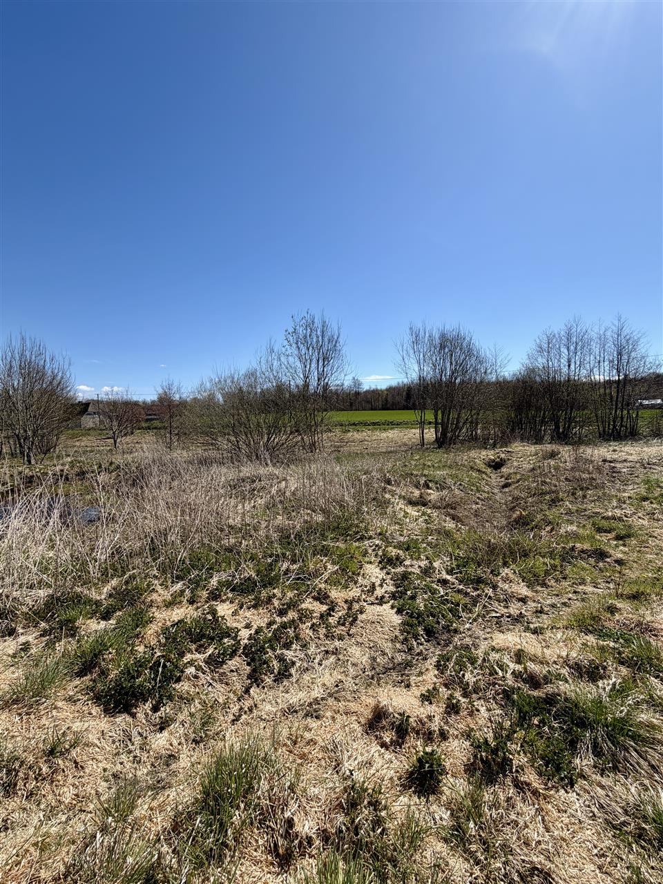 340 0 12443273 3 24 - Lista ofert