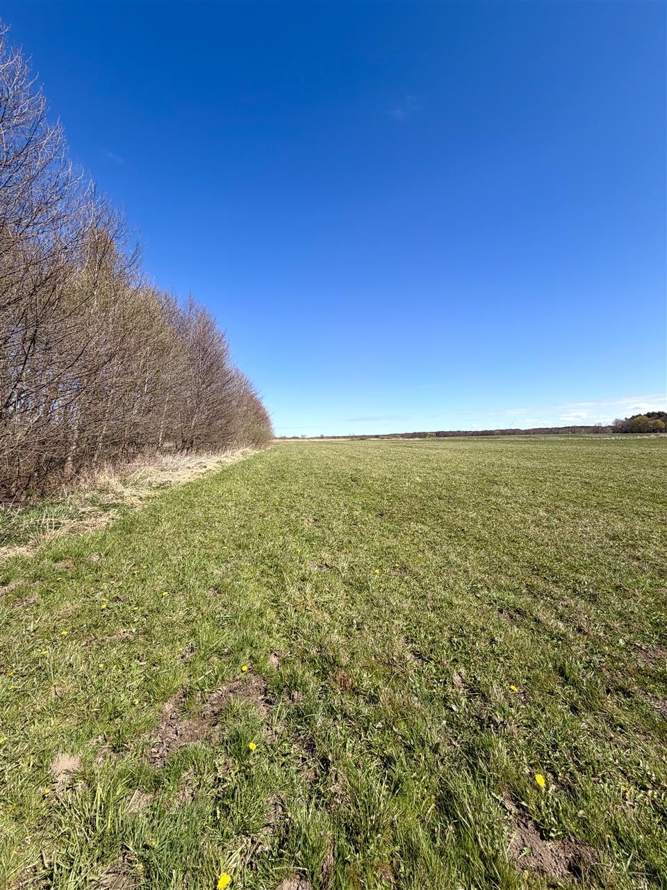 340 0 12443329 6 25 - Lista ofert