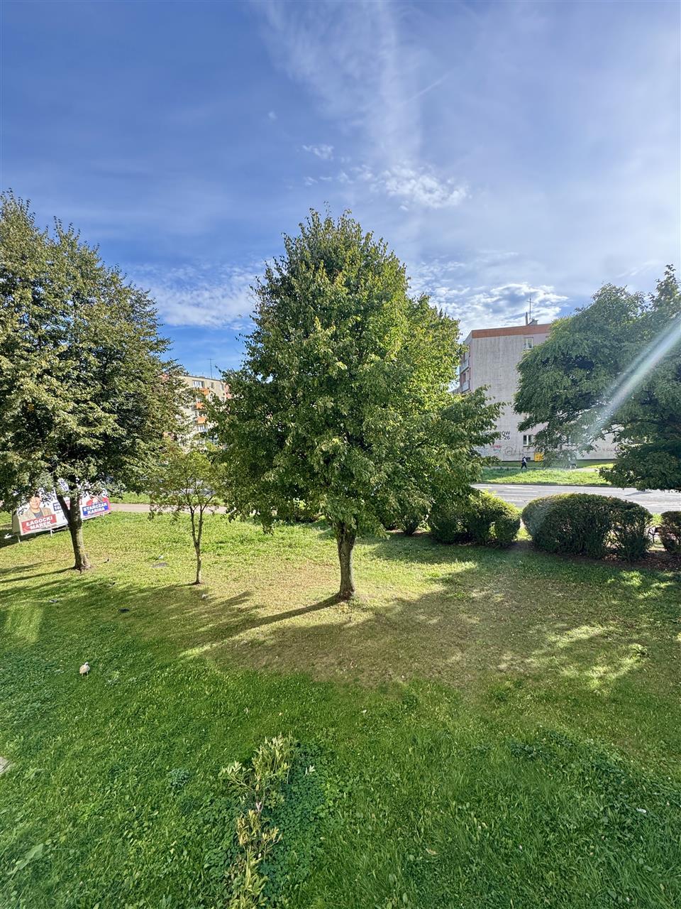 340 0 12539409 0 17 - Strona gł&oacute;wna