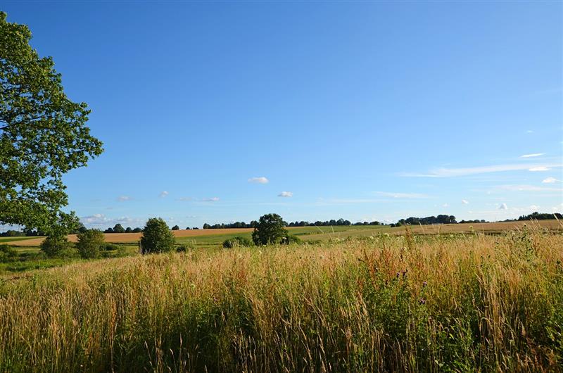 370 0 11457353 0 11 - Lista ofert