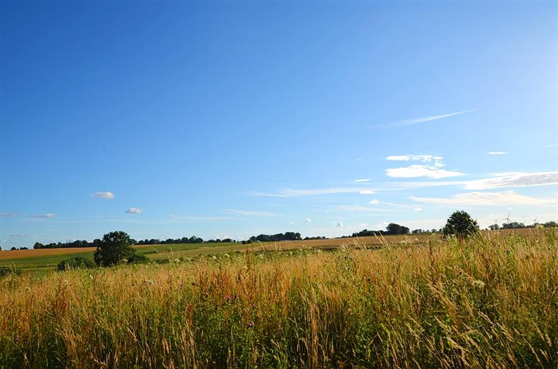 370 0 11457354 0 11 - Lista ofert