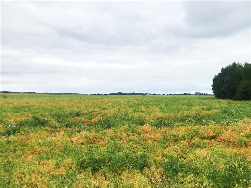 370 0 11472396 3 16 - Lista ofert