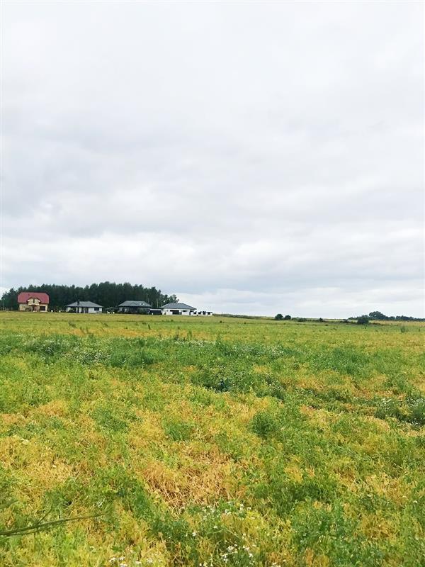 370 0 11472397 3 16 - Lista ofert