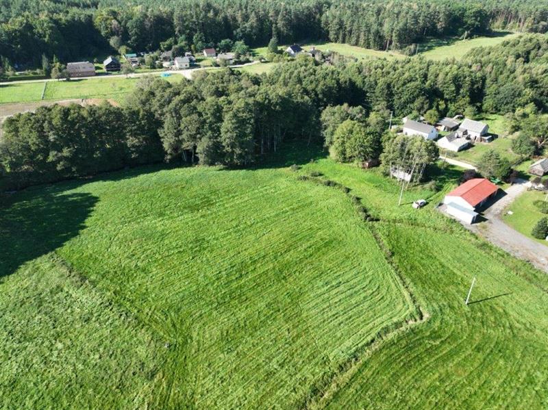 370 0 11817656 1 68 - Lista ofert