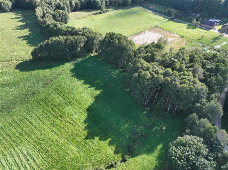 370 0 11817659 1 68 - Lista ofert