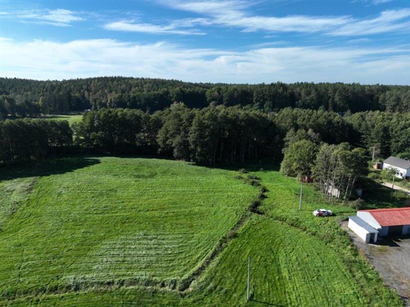 370 0 11817660 1 68 - Lista ofert