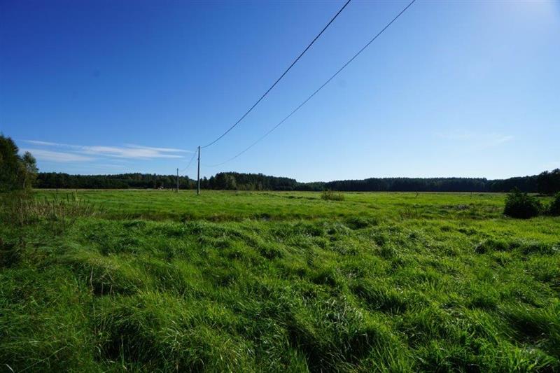 370 0 11817663 1 68 - Lista ofert