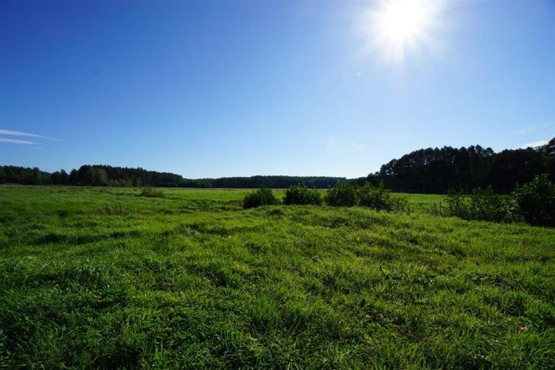 370 0 11817664 1 68 - Lista ofert