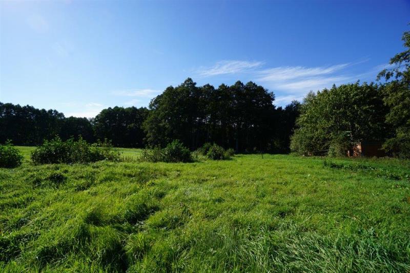 370 0 11817665 1 68 - Lista ofert