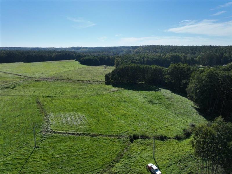 370 0 11817666 1 68 - Lista ofert