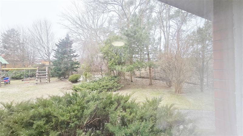 370 0 12323404 0 113 - Lista ofert