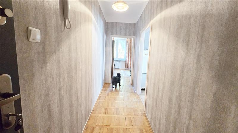 370 0 12323436 0 19 - Lista ofert