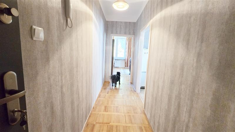 370 0 12323437 0 19 - Lista ofert