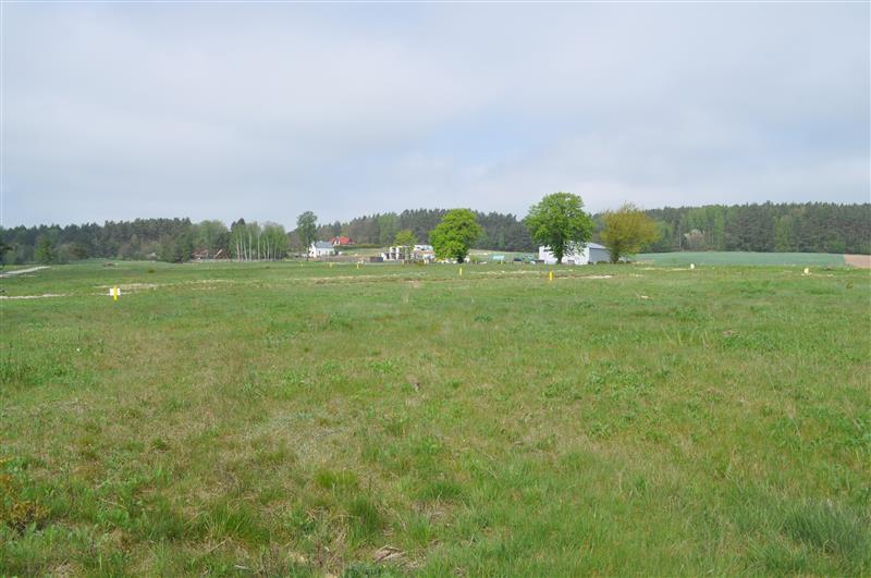 370 0 12329269 1 29 - Lista ofert