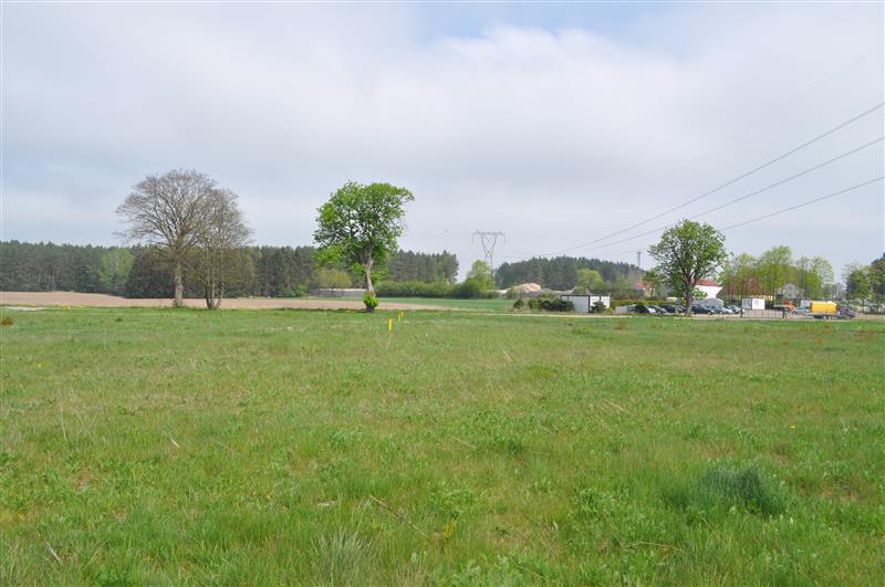 370 0 12329270 1 29 - Lista ofert