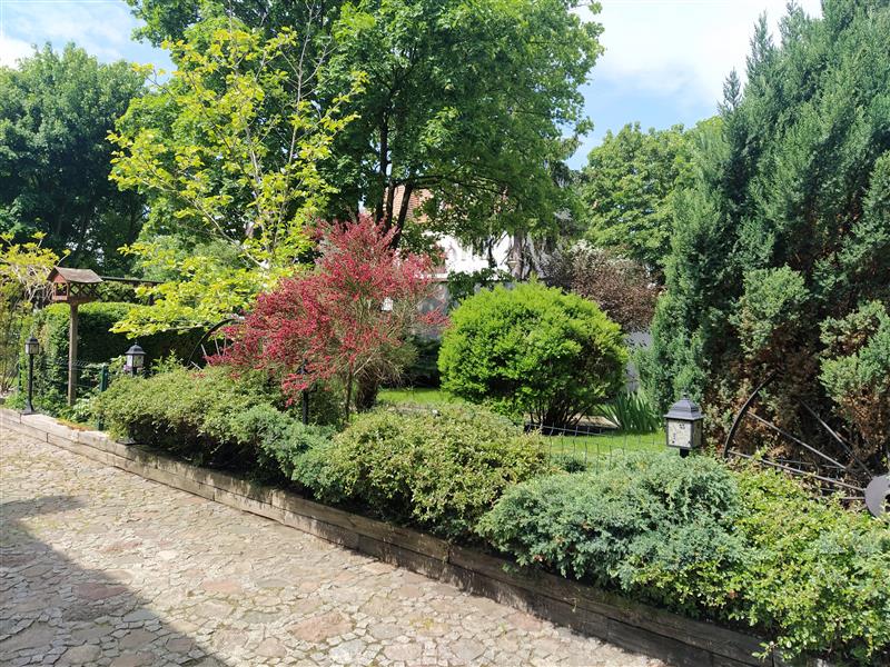 370 0 12362695 1 57 - Lista ofert