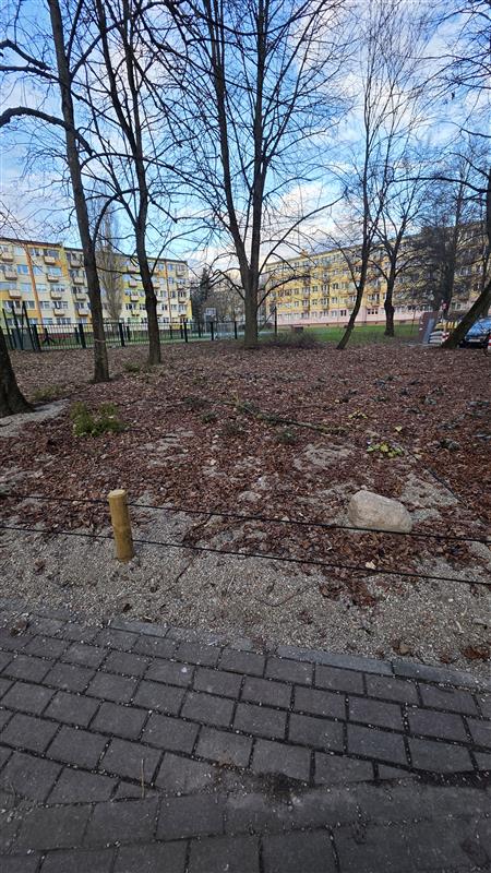 370 0 12372565 4 267 - Lista ofert