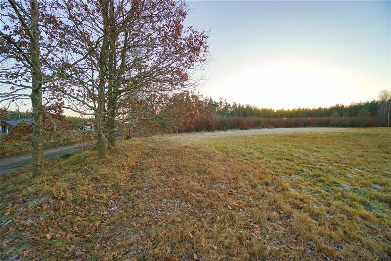 370 0 12377356 0 44 - Lista ofert