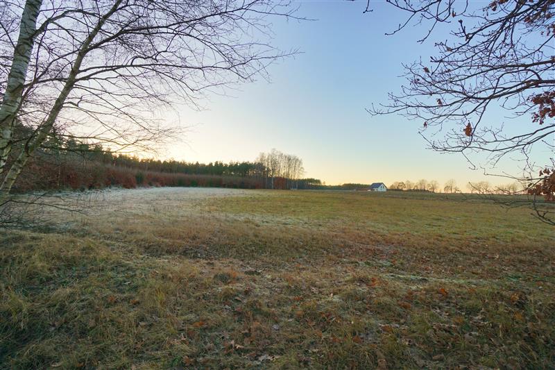 370 0 12377471 0 55 - Lista ofert