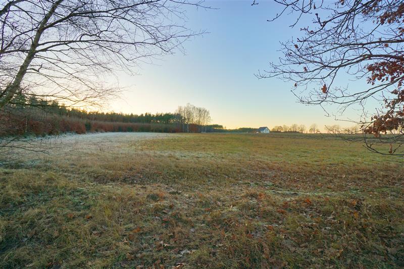 370 0 12377472 0 55 - Lista ofert