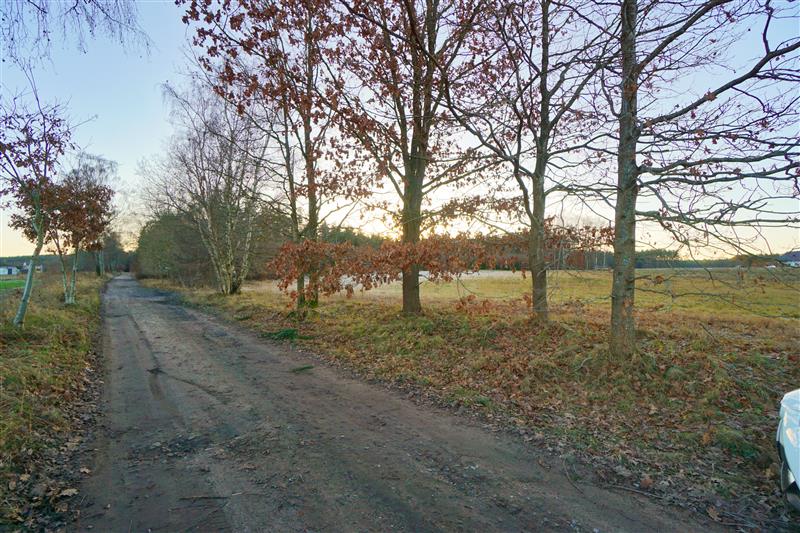 370 0 12377473 0 55 - Lista ofert