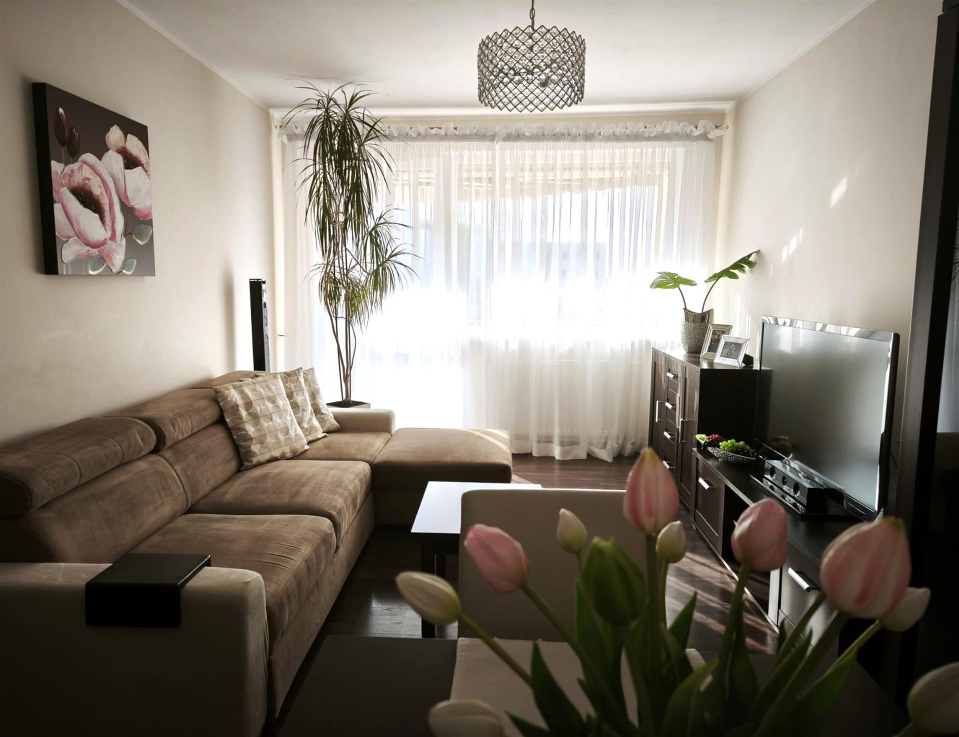 370 0 12386935 0 44 - Lista ofert