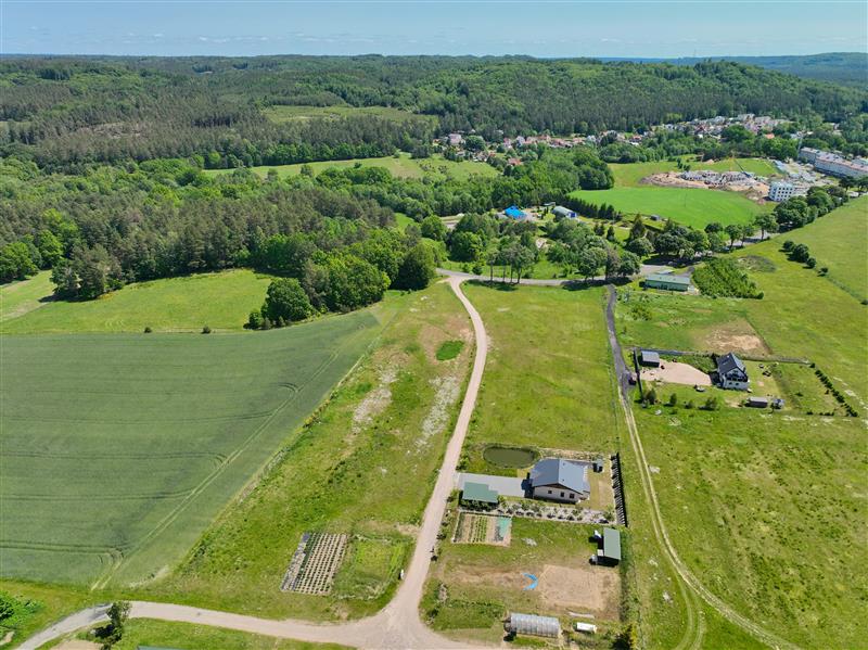 370 0 12395687 0 49 - Lista ofert