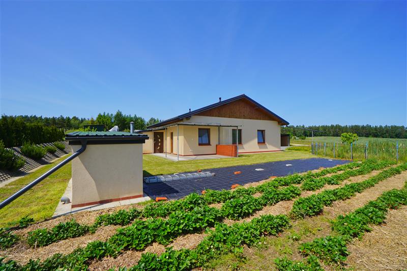 370 0 12395699 0 49 - Lista ofert