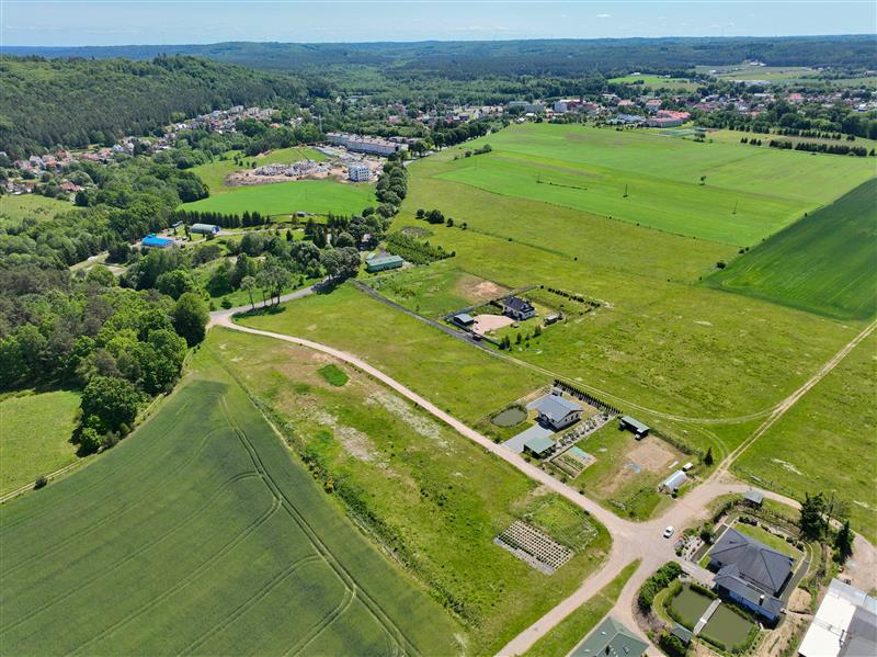 370 0 12396846 0 93 - Lista ofert