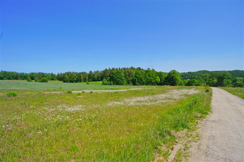 370 0 12396856 0 93 - Lista ofert