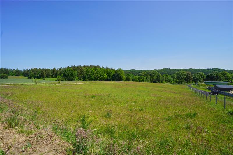 370 0 12396917 0 48 - Strona gł&oacute;wna