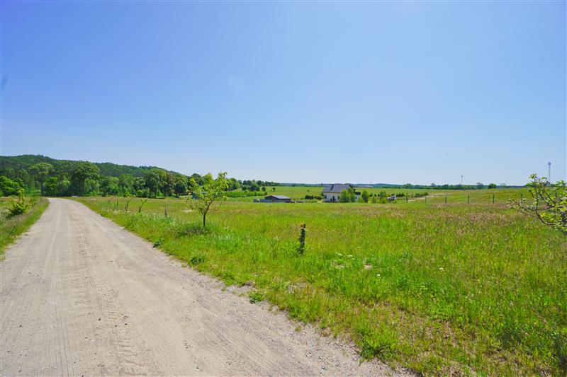 370 0 12396918 0 48 - Strona gł&oacute;wna