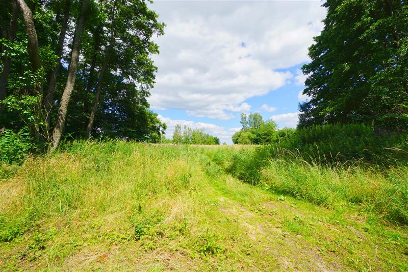 370 0 12432654 0 48 - Strona gł&oacute;wna