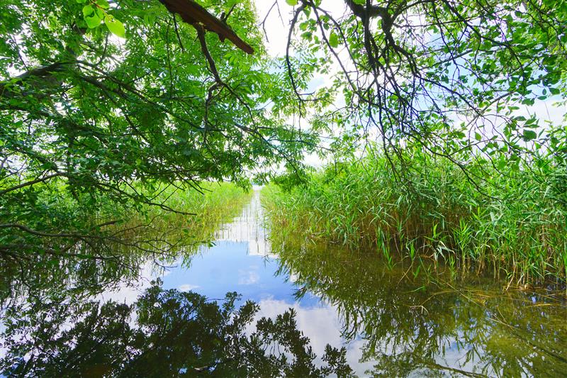 370 0 12432655 0 48 - Strona gł&oacute;wna